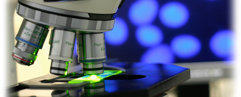 High-Powered Microscope Over Biotech Slide